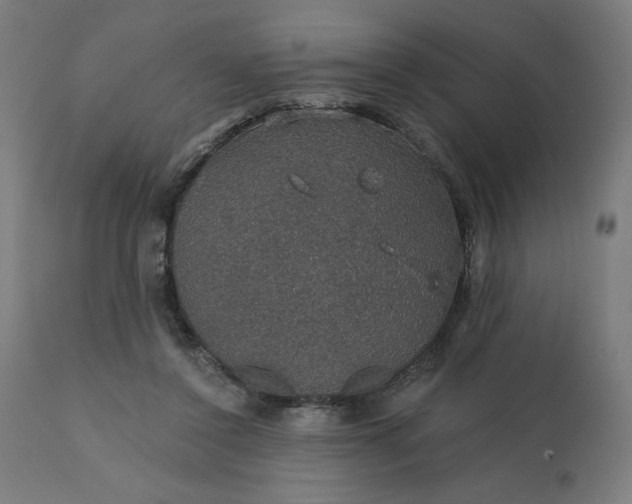 X0000112430356200908281907