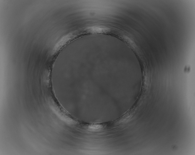 X0000112430357200908281907