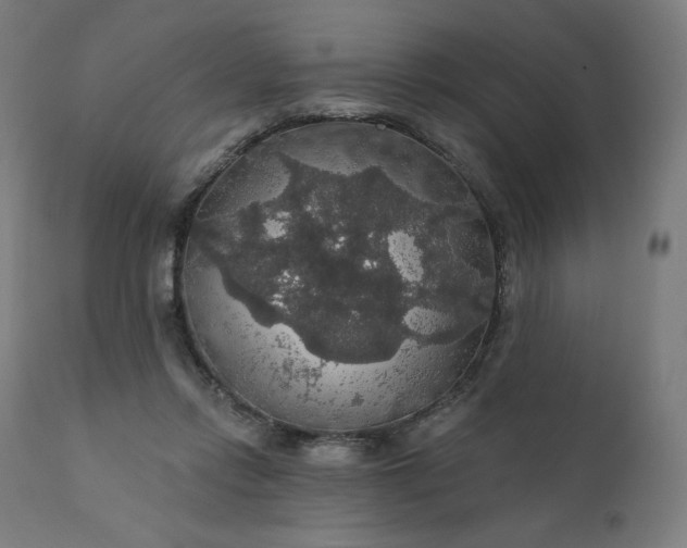 X0000112430358200908281907