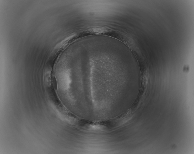 X0000112430360200908281907