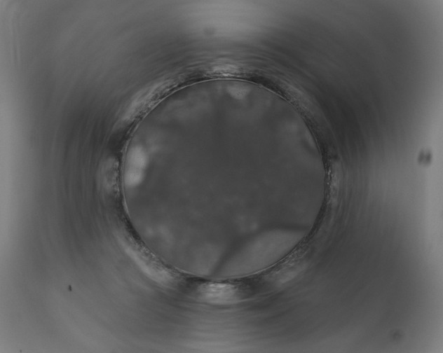 X0000112430361200908281907