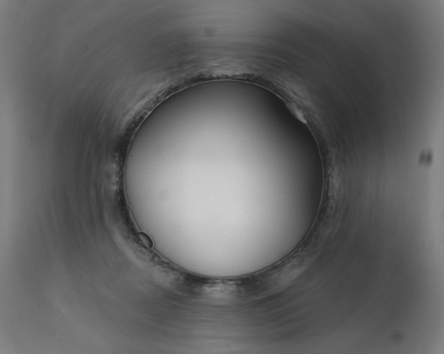 X0000112430362200908281907