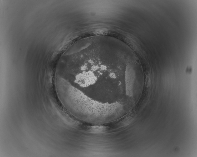 X0000112430363200908281907