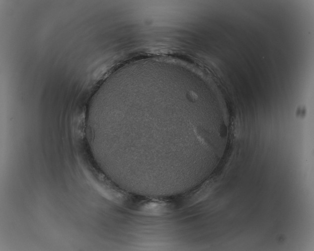 X0000112430364200908281907