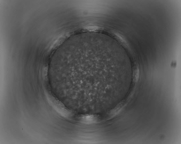 X0000112430365200908281908