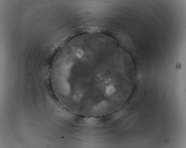 X0000112430367200908281908