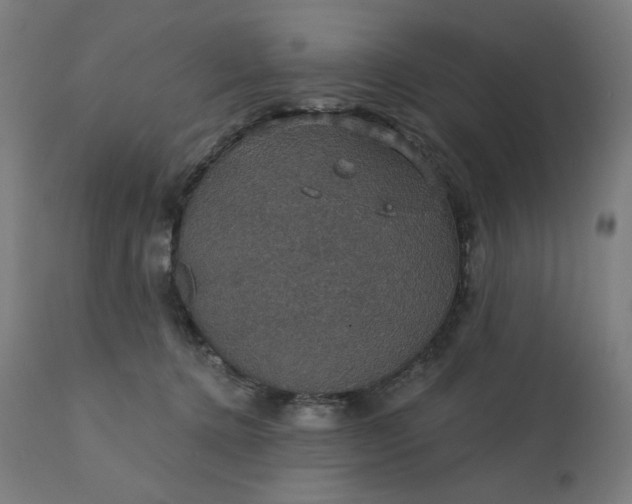 X0000112430368200908281908