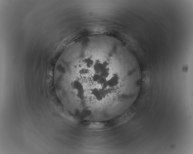 X0000112430369200908281908