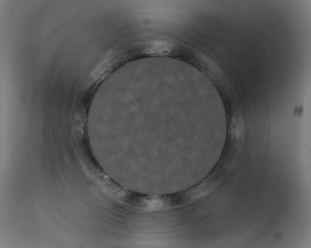 X0000112430370200908281908