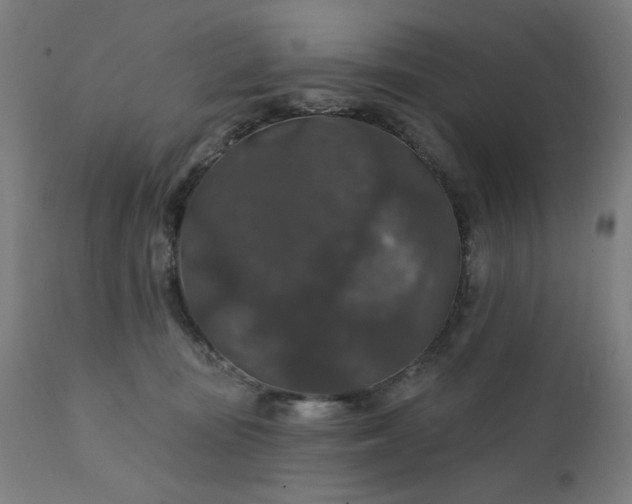 X0000112430371200908281908