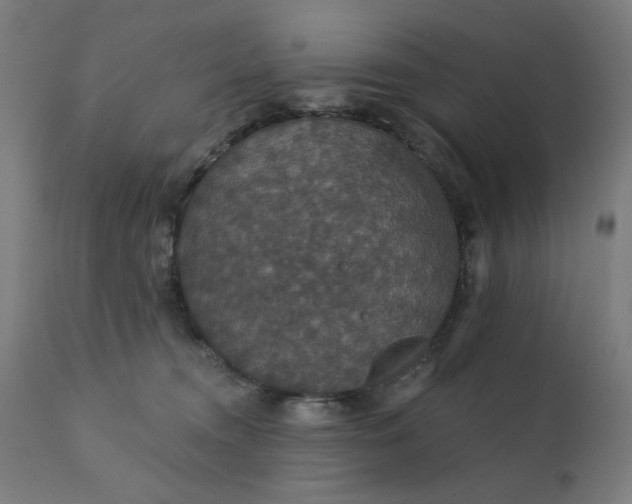 X0000112430372200908281908