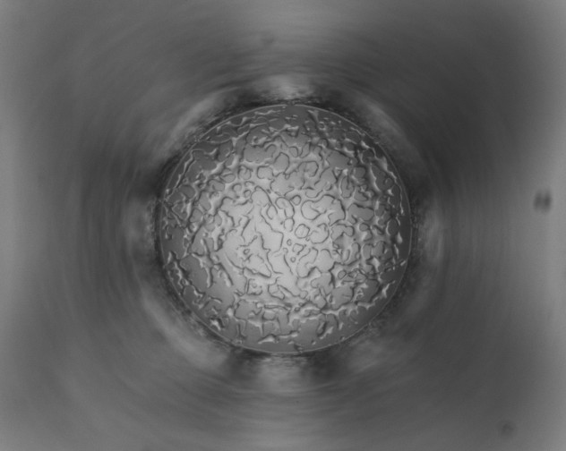 X0000112430373200908281908