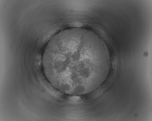 X0000112430374200908281908