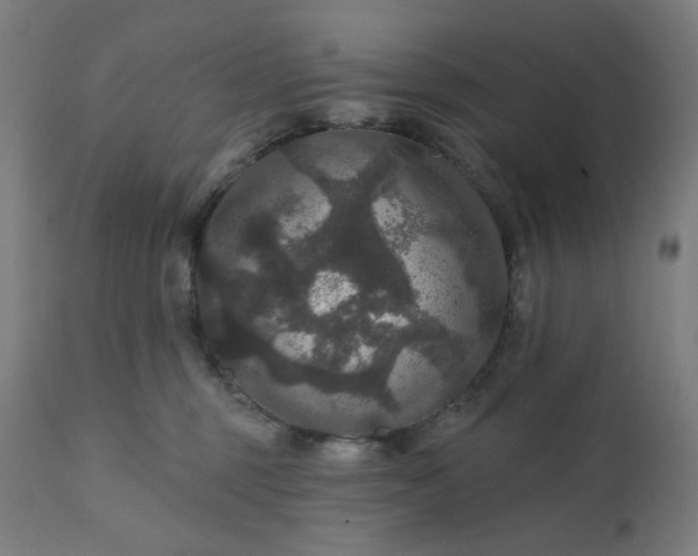 X0000112430375200908281908