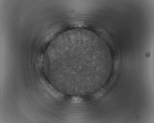 X0000112430376200908281908