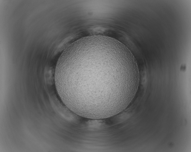 X0000112430378200908281908