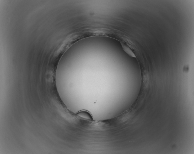 X0000112430379200908281908