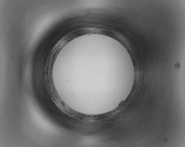 X0000112430381200908281908