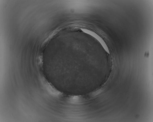 X0000112430382200908281908