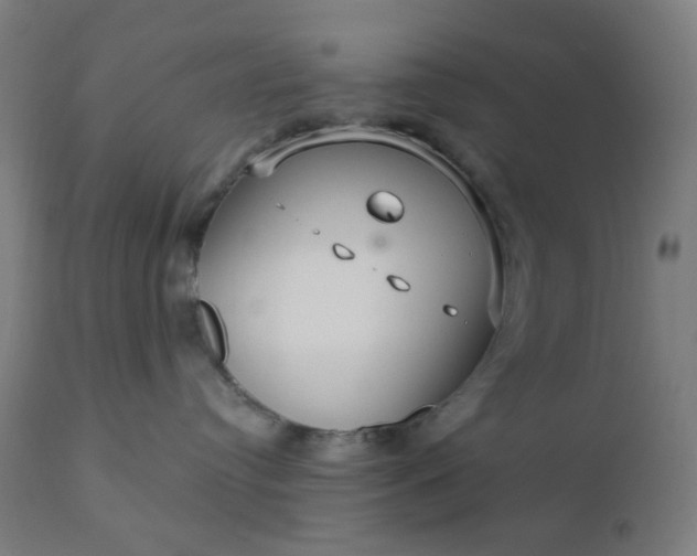 X0000112430384200908281908