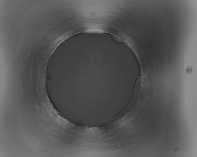 X0000112430385200908281907