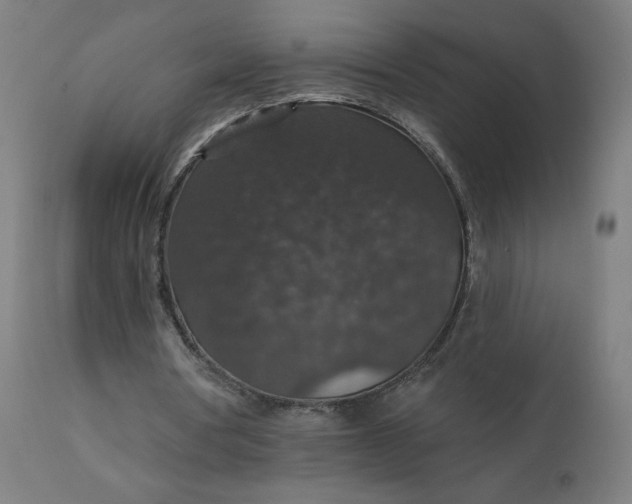 X0000112430386200908281907