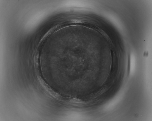 X0000112430387200908281907