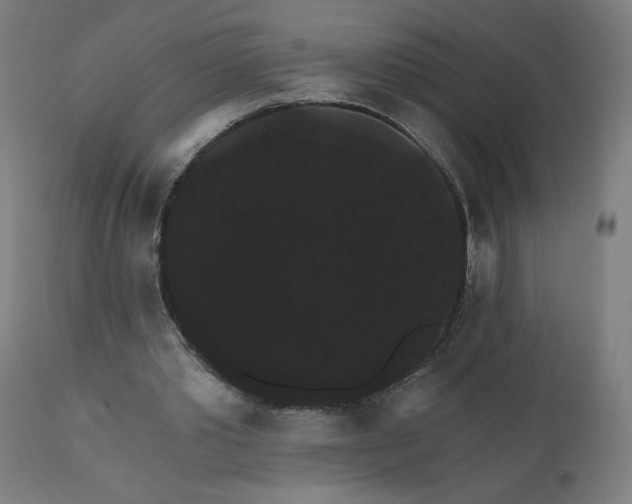 X0000112430389200908281907