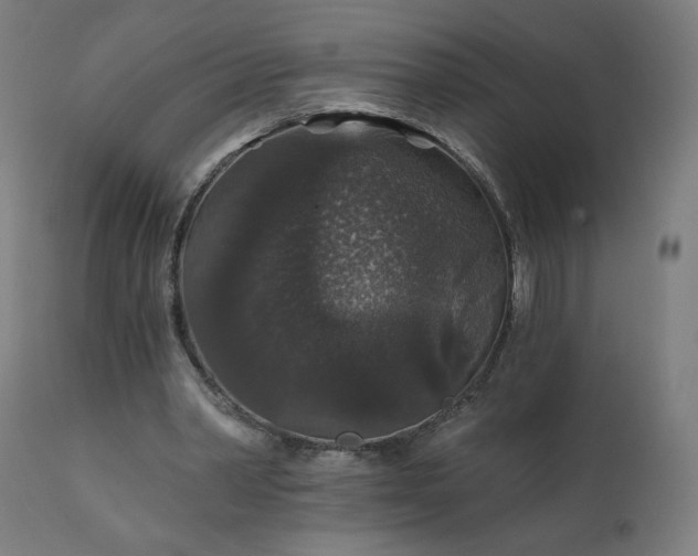 X0000112430390200908281907