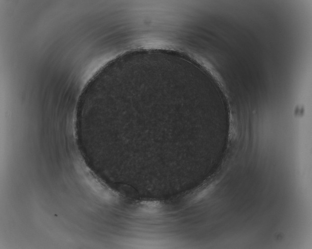 X0000112430391200908281907