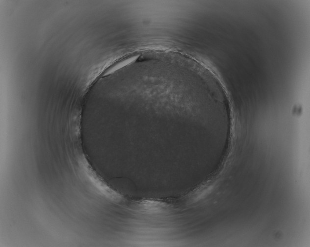 X0000112430393200908281907