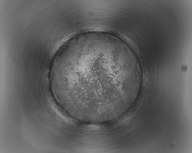 X0000112430394200908281907