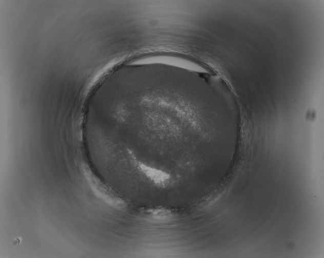 X0000112430395200908281907