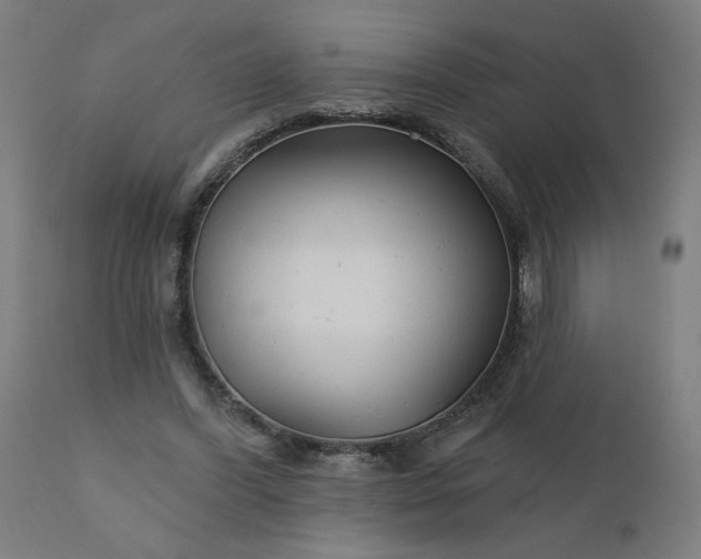 X0000112430396200908281907