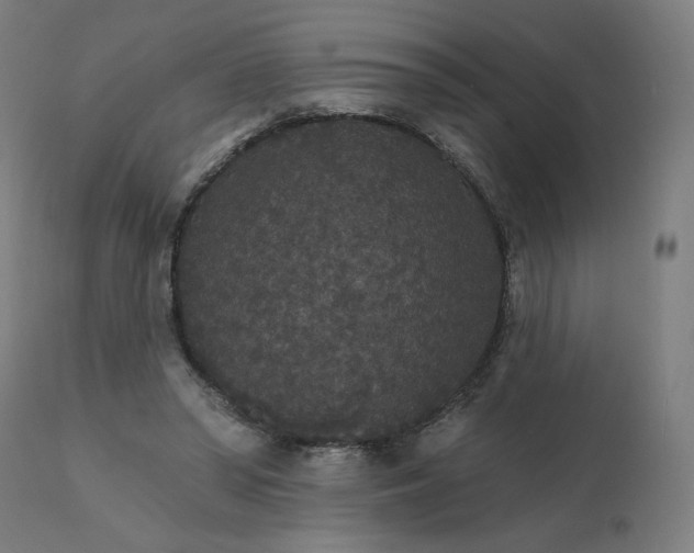 X0000112430398200908281907