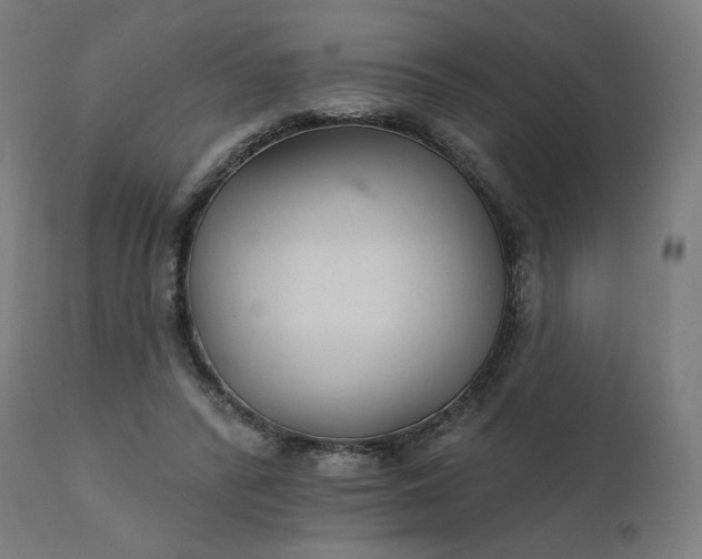 X0000112430400200908281907