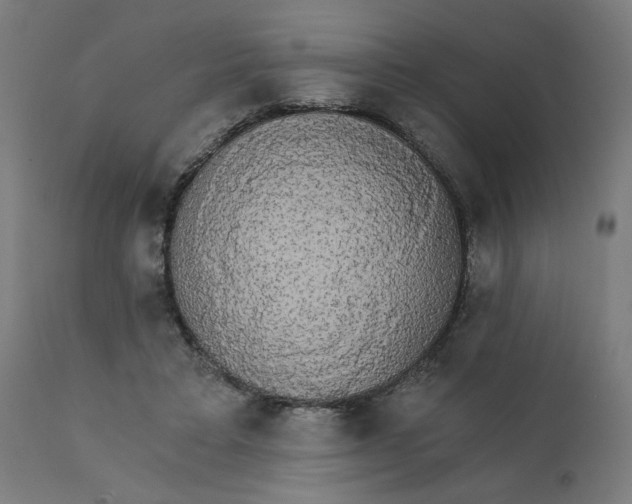 X0000112430403200908281907