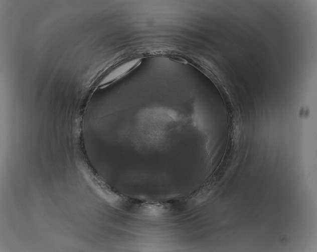 X0000112430405200908281907