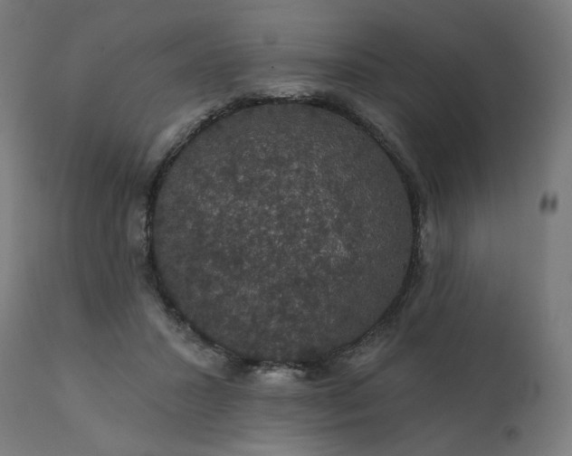 X0000112430407200908281907