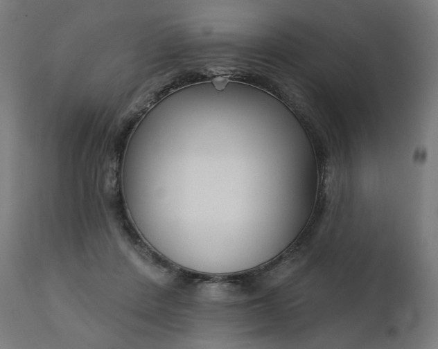 X0000112430408200908281907