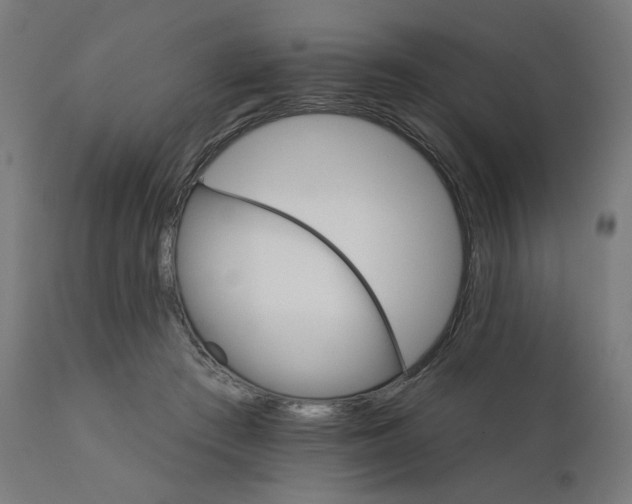 X0000112430409200908281907