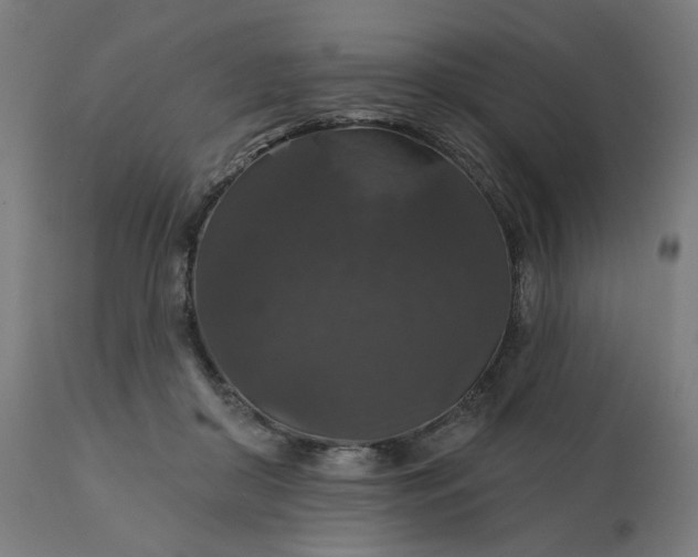 X0000112430410200908281907