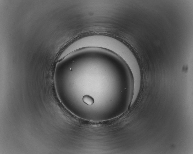 X0000112430411200908281907