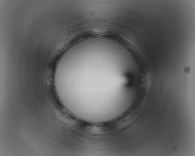 X0000112430412200908281907