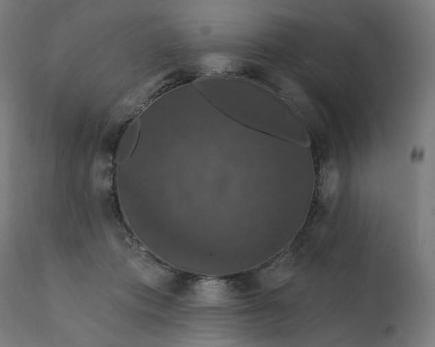 X0000112430413200908281907