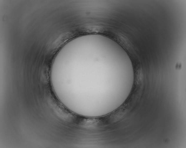 X0000112430414200908281907