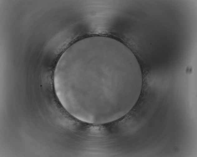 X0000112430415200908281907