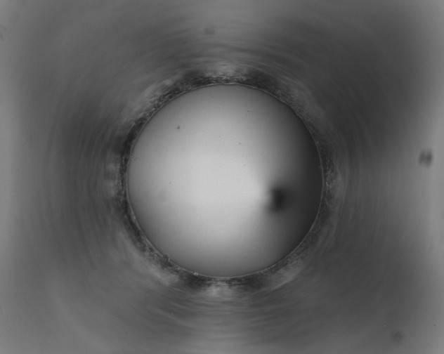 X0000112430416200908281907