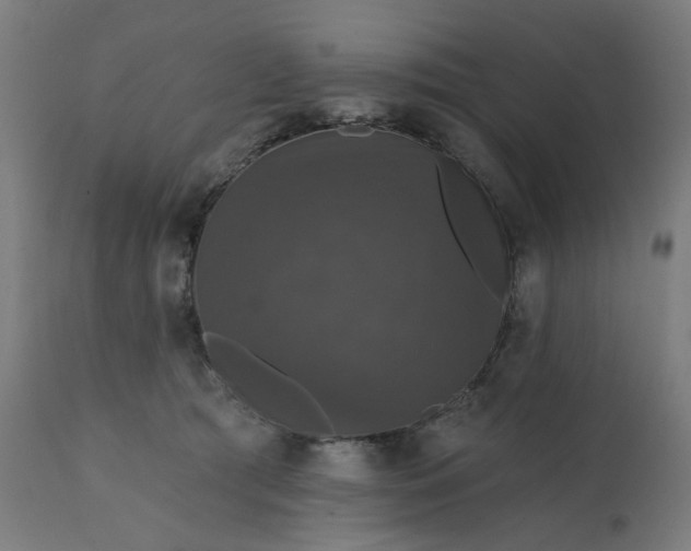 X0000112430417200908281907