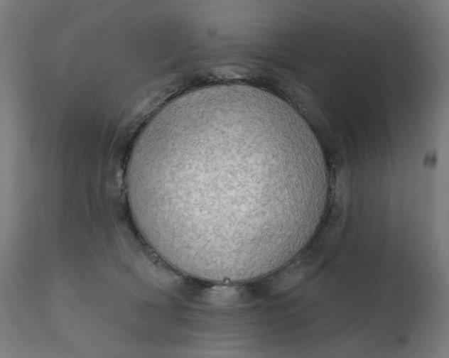 X0000112430418200908281907